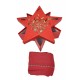 Confezione Idea regalo con strofinaccio a nido d'ape rosso Babbo Natale Stella