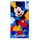 TELO mare piscina microspugna Unicorno Barbie Minnie Spiderman Avengers Gabby's