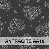 Antracite AA10